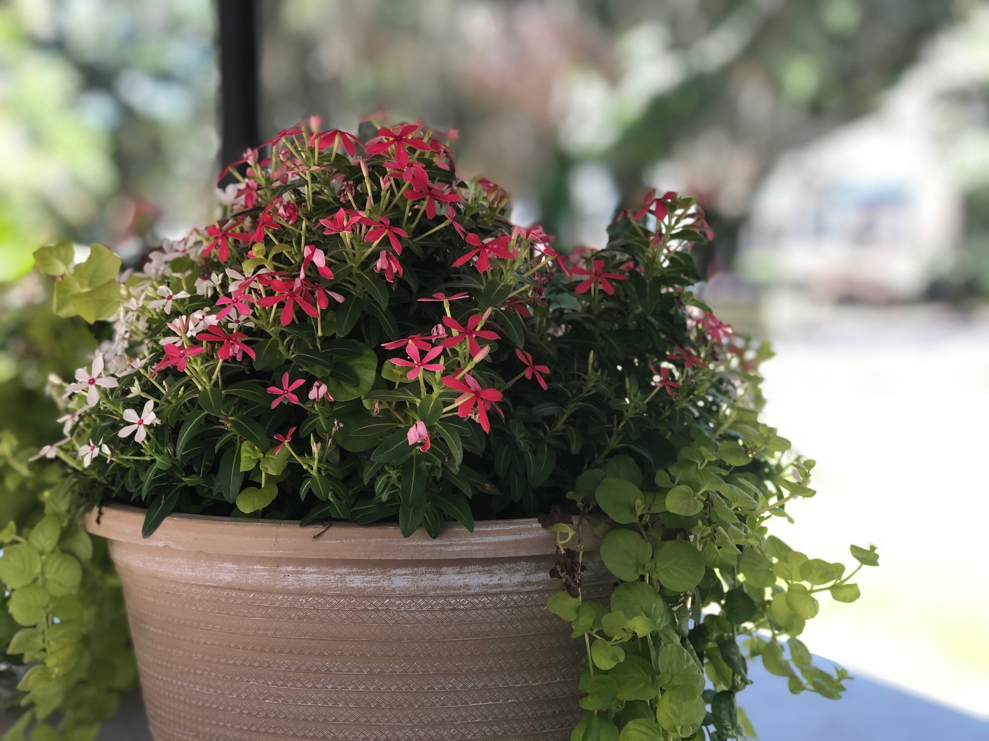 Luxury home at 25 Lakes Crossing in Lawton Station, Bluffton SC – 4 beds, 4.5 baths, high-end finishes.